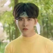 丁真文盲疯狂抽查王源的学历