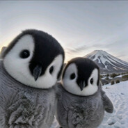 大大大大黄 幼崽固定赢