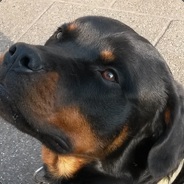 [Old_Dogs] Lost-soul