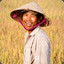 Simple Rice Farmer