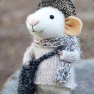 ⎛⎞星小翼⎛⎞