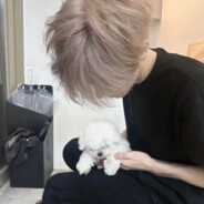 翻斗花园你太爷