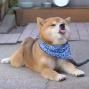 我与神明画过押