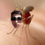 mosquito pablo