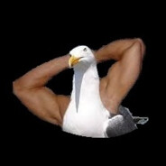 Mewgull