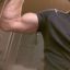 Gimbo Biceps!