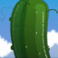 Pickle-Lo