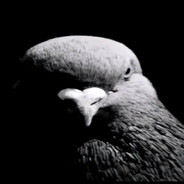 RzadenukrainiecNieJestMoimBratem