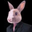 CandyBunn