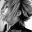 Noctis Lucis Caelum