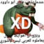 KuKinz_
