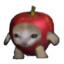 I am apple cat