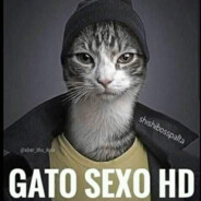 Gato Sex0 avatar
