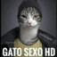 Gato Sex0