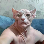 vizualky - steam id 76561199782896169