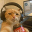 olekmajster1337