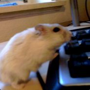 XtAsY^ <<<< ersgutergamer ;)