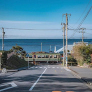 三分之王西蒙斯