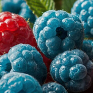Blue_Raspberry