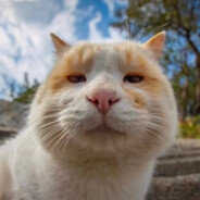 相册里的她好看吗