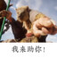 我 来 助 你