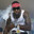 1017 Steam avatar