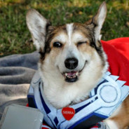 Mighty Thorgi