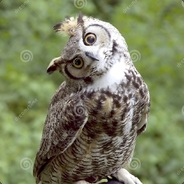KUCKUCK - steam id 76561197961189323