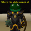 Frog Knight