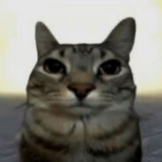 small potato