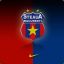 FlaviuSteaua*