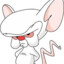 Cerebro