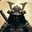 TRGShadow