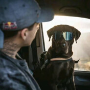 终楚殷到珍得霜