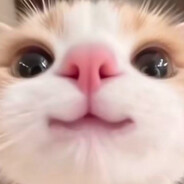 ЧтоСебалом