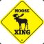 DangerMoose