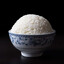 rice addict's avatar