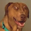 Verrik