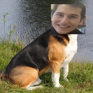 Влаик долбаеб