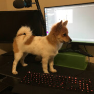 Krumpette
