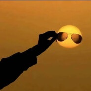 学校的沃柑比我甜