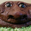 пукиш
