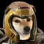 hrtcl_dew