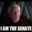 THE SENATE