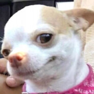 野菜食べません