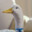 MisterAflac's avatar