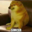 simcer