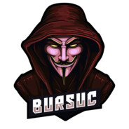 Bursuc premium.llg.ro