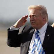 党的忠仆特朗普