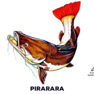 PIRARARA